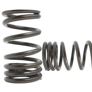 Kelford KVS14 | Nissan A Series Springs 70lb