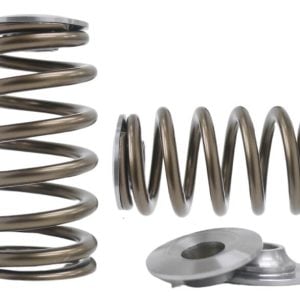 Kelford KVS35-BT | Nissan VQ35 Beehive Springs 95lb