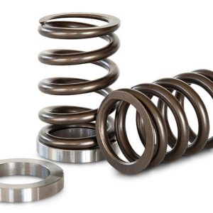 Kelford KVS16 | Nissan CA18 Spring and Base 70lb