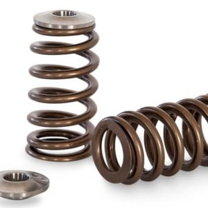 Kelford KVS25NEO | Nissan RB25DET NEO Beehive Springs