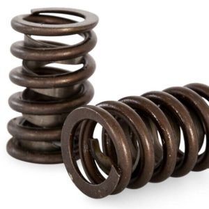 Kelford KVS4843 | V8 Valve Single Spring Set
