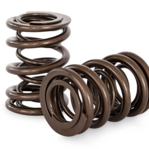 Kelford KVS4206 | Nissan L20-L28 Dual Springs 90lb