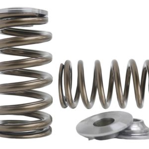 Kelford KVS56-BT | Nissan VK56 Beehive Springs 95lb