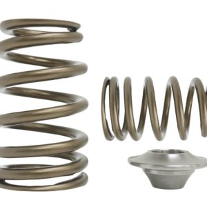 Kelford KVS10-BT | Nissan SR16/SR20 Beehive Springs 95lb