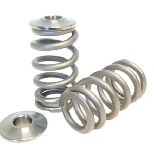Kelford KVS11-BT | Mitsubishi 4B11T Beehive Springs