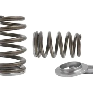 Kelford KVS63-BK | Mitsubishi 4G63 Beehive Springs