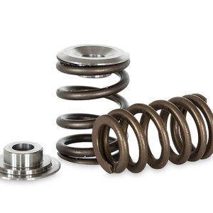 Kelford KVS2004-K | Ford 2.0l Springs