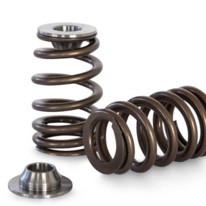Kelford KVS42-K | FORD 2.0L Beehive Springs 95lb