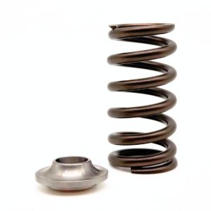 Kelford KVS99 | Harley V-Rod Beehive Springs 95lb