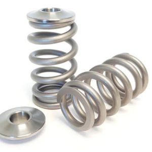 Kelford KVS250X-T | Ford 2.3L Ecoboost Springs
