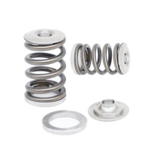 Kelford KVS25R-T | Nissan RB25DET NVCS Springs