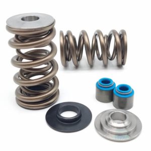 Kelford KVSLS1D | GM LS Dual 1905 Valve Spring Kit