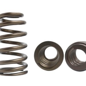 Kelford KVS1518 | Nitrided Beehive LS Race Springs