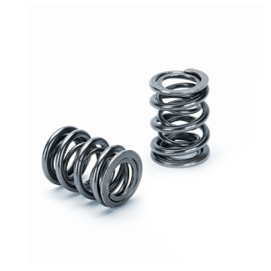 Supertech Honda B16A/B17A/B18C Dual Valve Spring - Set of 16