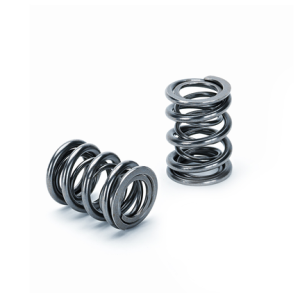 Supertech Honda K20/K24 Dual Valve Spring - Set of 16