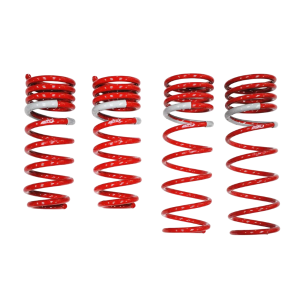 Tanabe NF210 Springs 06-07 GS300