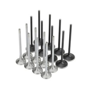 Skunk2 Honda K20C1 Alpha Series Intake & Exhaust Valve Set (Standard Compression)
