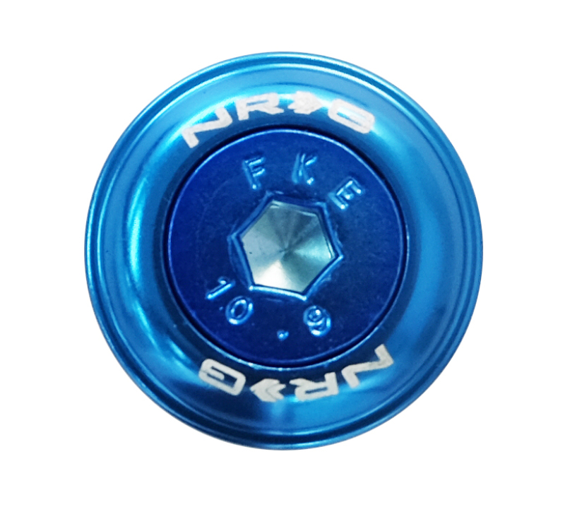 NRG Fender Washer Kit w/Color Matched M6 Bolt Rivets For Plastic (Blue) - Set of 10 - Image 4