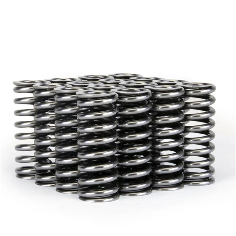 Skunk2 Alpha Series Honda D Series VTEC Valve Spring Set - Image 9