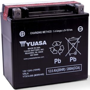 Yuasa YTX14-BS Maintenance Free AGM 12-Volt Battery w/Bottle
