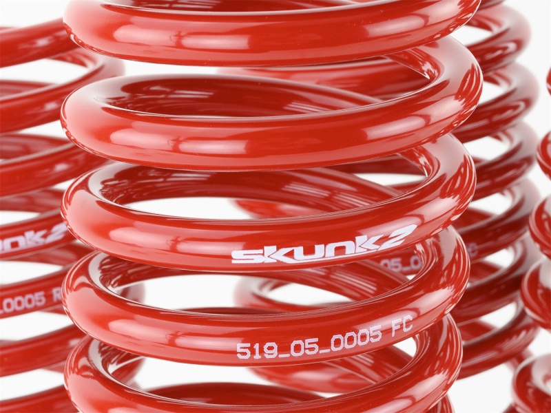 Skunk2 96-00 Honda Civic Lowering Springs (2.50in - 2.25in.) (Set of 4) - Image 6