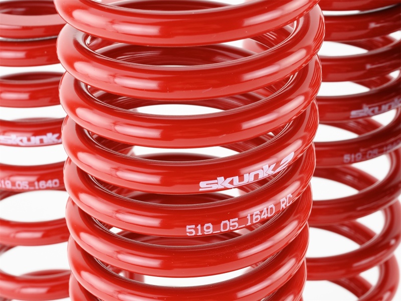 Skunk2 90-93 Acura Integra Lowering Springs (2.50in - 2.25in.) (Set of 4) - Image 6