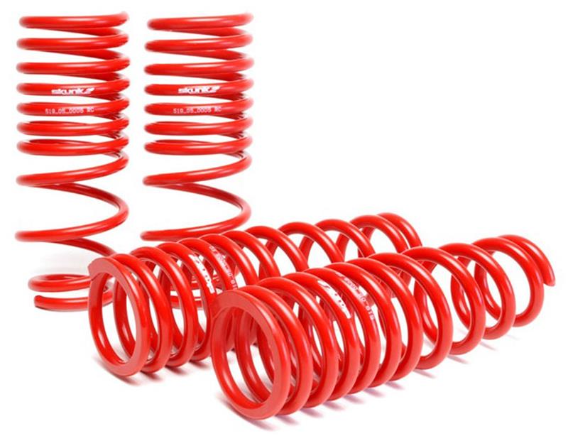Skunk2 92-95 Honda Civic/Del Sol Lowering Springs (2.50in - 2.25in.) (Set of 4) - Image 9