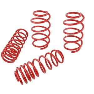 Skunk2 07-12 Honda Civic Type-R (FN2) Lowering Springs (Set of 4)