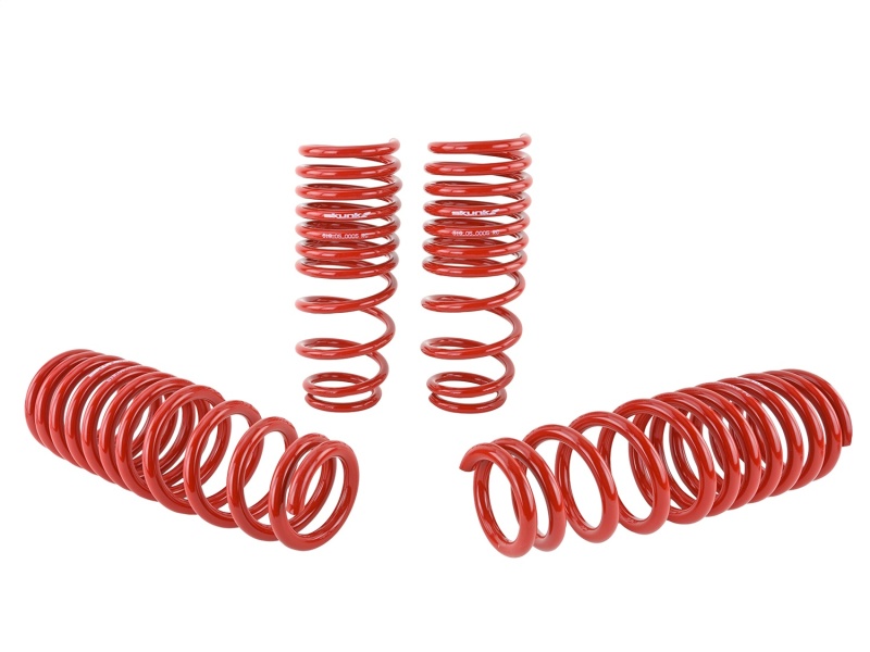 Skunk2 96-00 Honda Civic Lowering Springs (2.50in - 2.25in.) (Set of 4) - Image 5