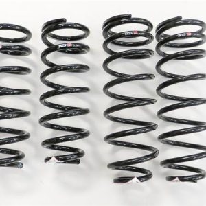 RS-R 01-06 Lexus LS430 (UCF30/31) Super Down Springs