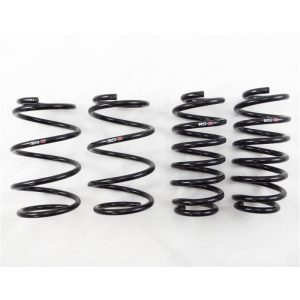 RS-R 10+ Lexus CT200h (ZWA10) Down Sus Springs