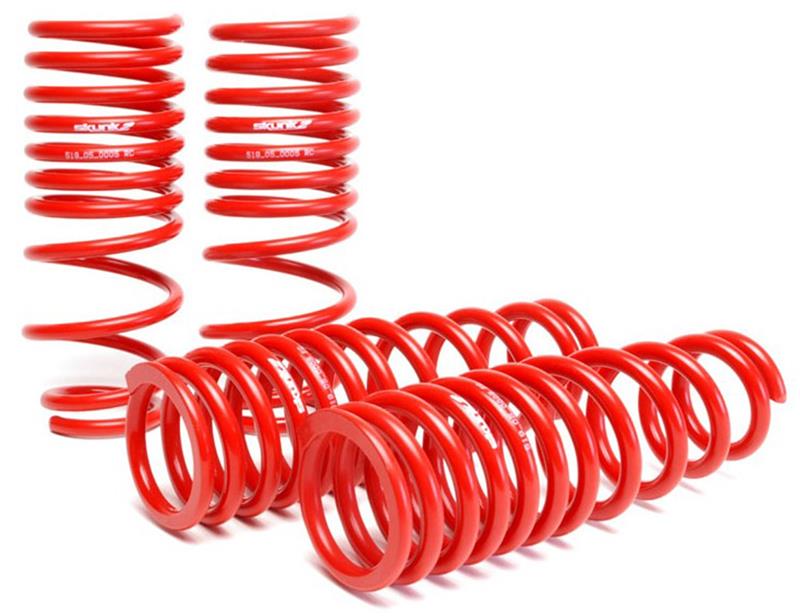 Skunk2 96-00 Honda Civic Lowering Springs (2.50in - 2.25in.) (Set of 4) - Image 9