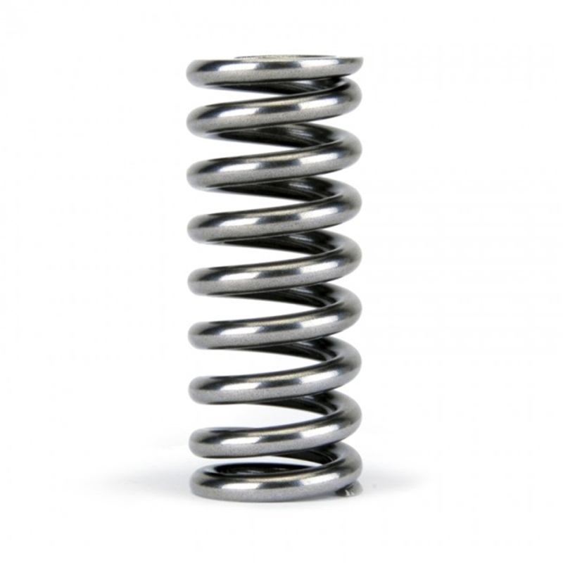 Skunk2 Alpha Series Honda D Series VTEC Valve Spring Set - Image 5