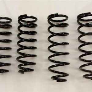 RS-R 01-06 Lexus LS430 (UCF30/31) Down Sus Springs