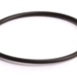Turbosmart WG Valve Guide O Ring