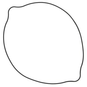 Vertex Pistons 96-08 RM 250 Clutch Cover Gasket - Outer