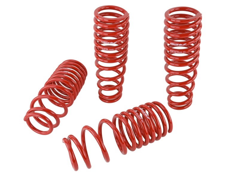 Skunk2 92-95 Honda Civic/Del Sol Lowering Springs (2.50in - 2.25in.) (Set of 4) - Image 2