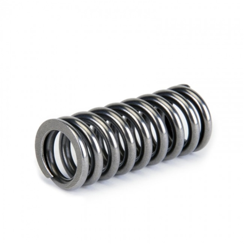 Skunk2 Alpha Series Honda D Series VTEC Valve Spring Set - Image 7
