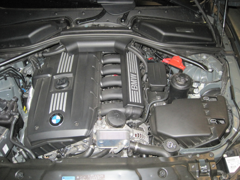 K&N 04 BMW 525i 2.5L-L6 Drop In Air Filter - Image 4
