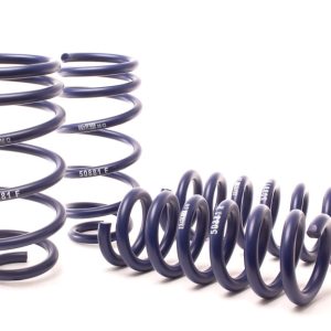 H&R 11-14 Dodge Charger RT (AWD) Max/Plus V8 Sport Spring