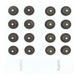 Fel-Pro 06-15 Mazda MX-5 Miata/15-21 Ford Mustang Engine Valve Stem Oil Seal Set