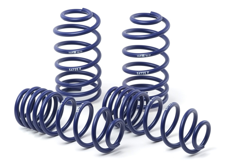 H&R 87-95 Mercedes-Benz 300TE W124T Wagon Sport Spring (Non 4WD/w/Self-Leveling) - Image 4