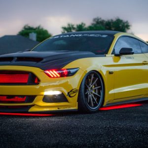 Diode Dynamics RGBW Multicolor Underglow LED Kit