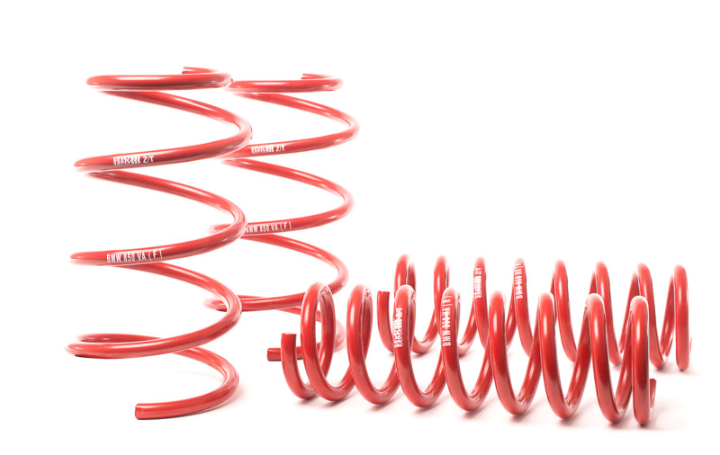 H&R 90-97 BMW 840Ci/840i/850Ci/850i E31 Sport Spring (w/o Self-Leveling) - Image 6