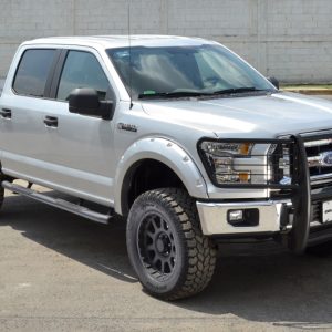 Go Rhino 04-04 Ford F-150 3000 Series StepGuard - Black (Center Grille Guard Only)