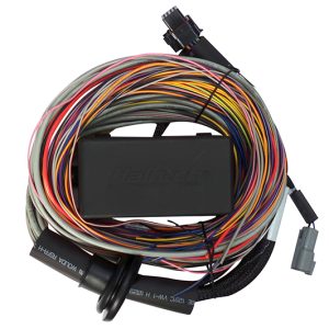 Haltech Elite 550 Premium Universal Wire-In Harness - 2.5m (8ft)
