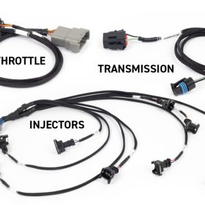 Haltech NEXUS Rebel LS Gen III Cable Throttle/EV1 Injectors/Manual Transmission