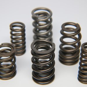 Ferrea BMW S54 Dual Valve Spring - Set of 24