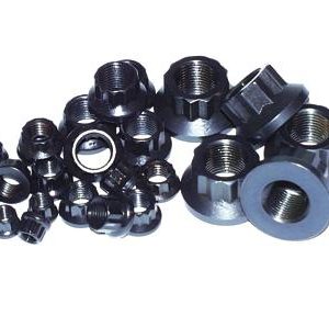 ARP 9/16in -18 12pt Nut Kit